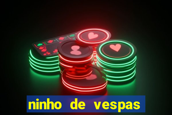 ninho de vespas significado espiritual